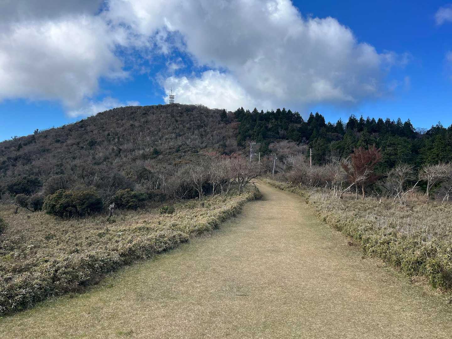 めちゃくちゃ綺麗に刈られています