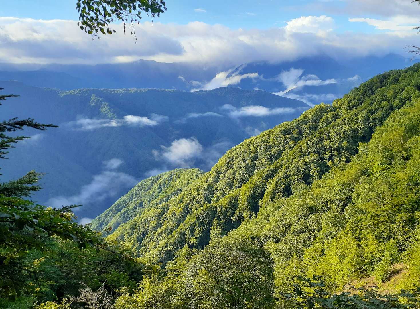 しらびそ峠-前尾高山-尾高山-奥尾高山 往復コースの写真