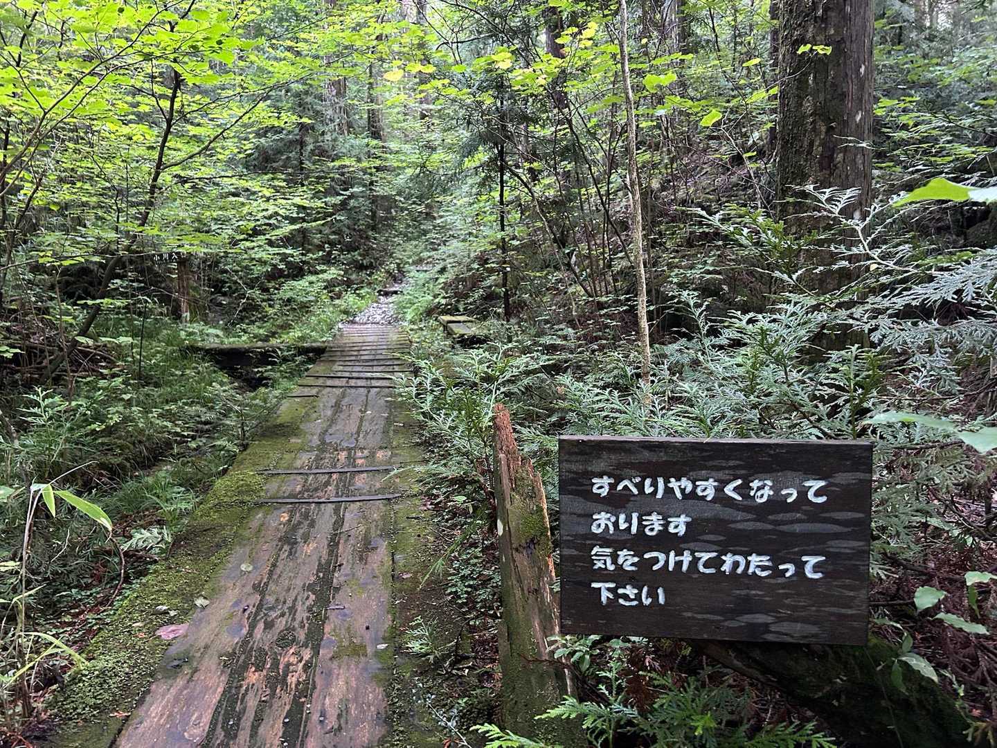 うっ、いきなり難敵現れる
月山の木道で2回転んでから、トラウマなんだよね
今日はこれが目的と言っても過言ではない✨
