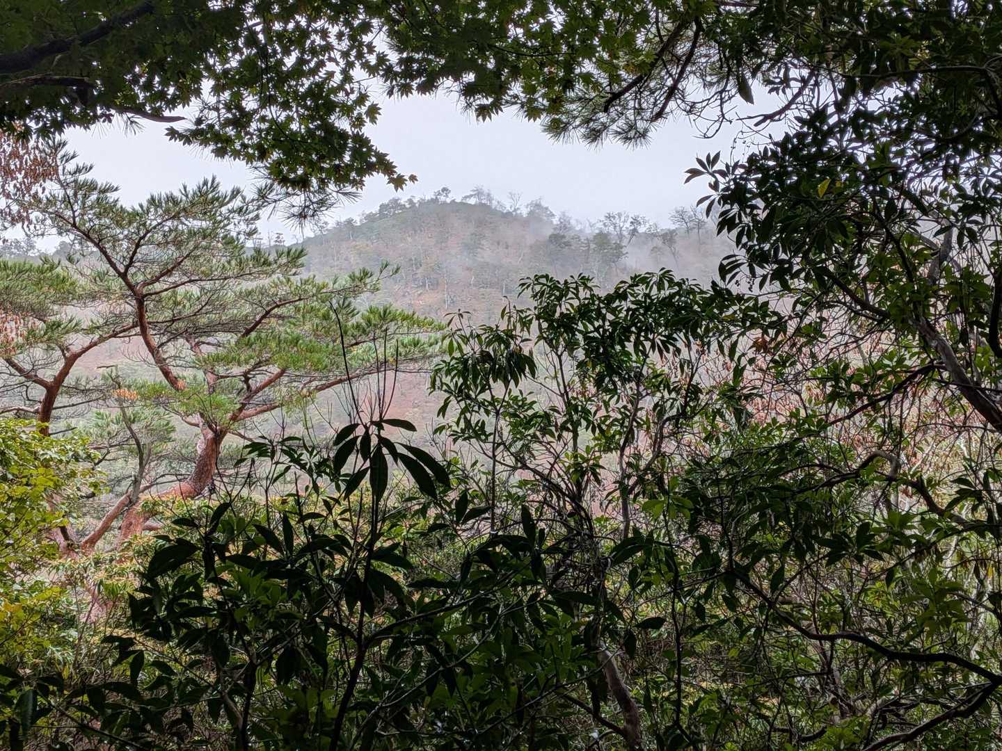 窓からお姫山方面？の稜線見えた