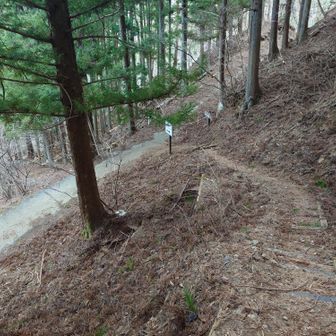 一旦舗装路にでて