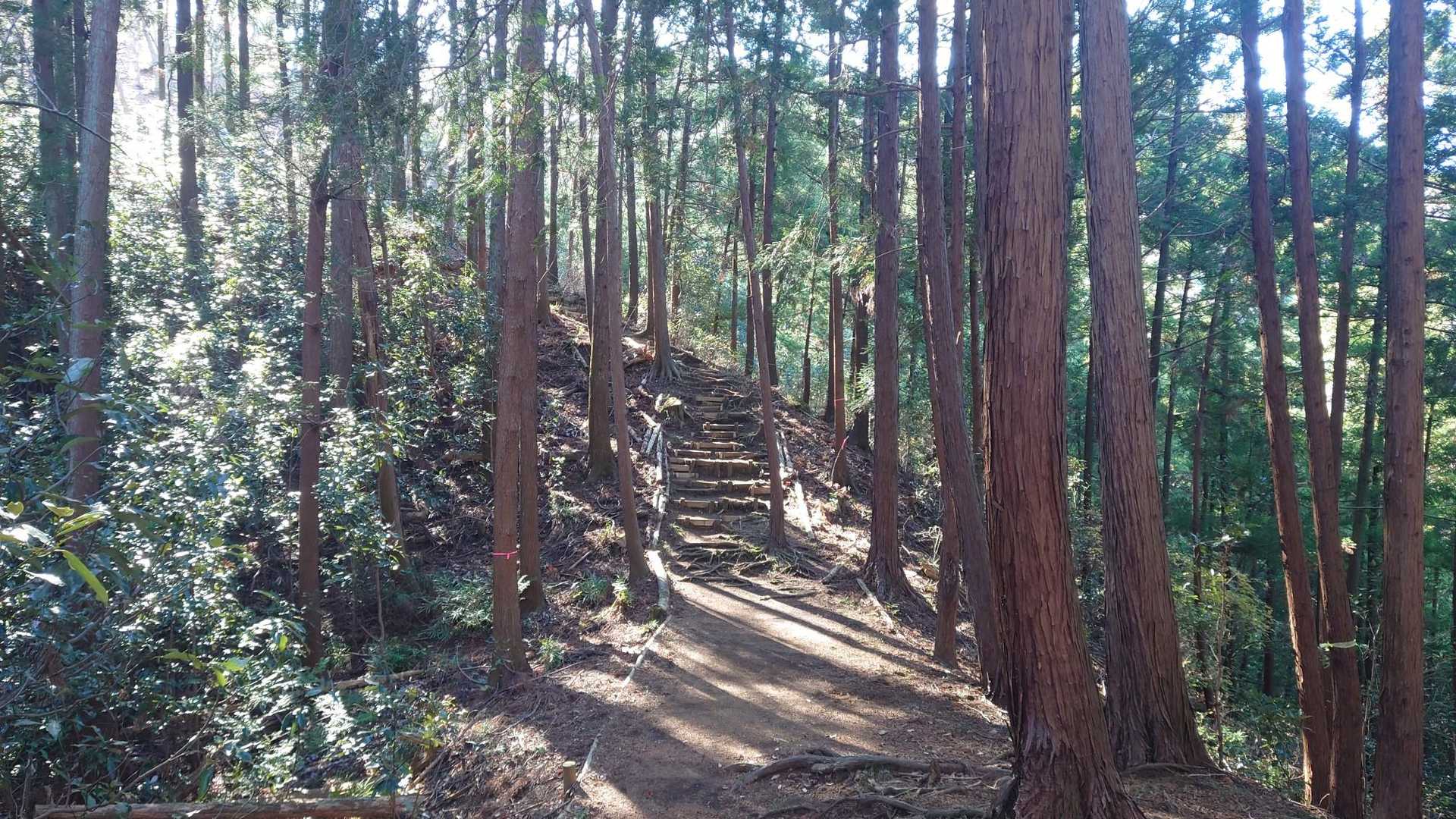 来てよかったーッッッ！めっちゃ気持ちいい!!!