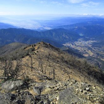 脊梁らしい広い尾根
