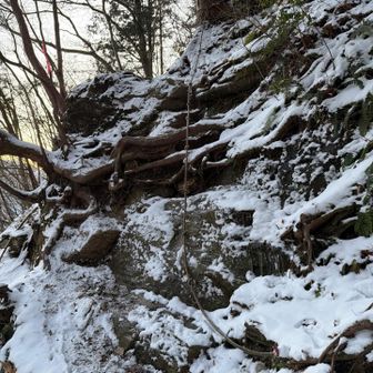 はい、チェーンスパイク履きます