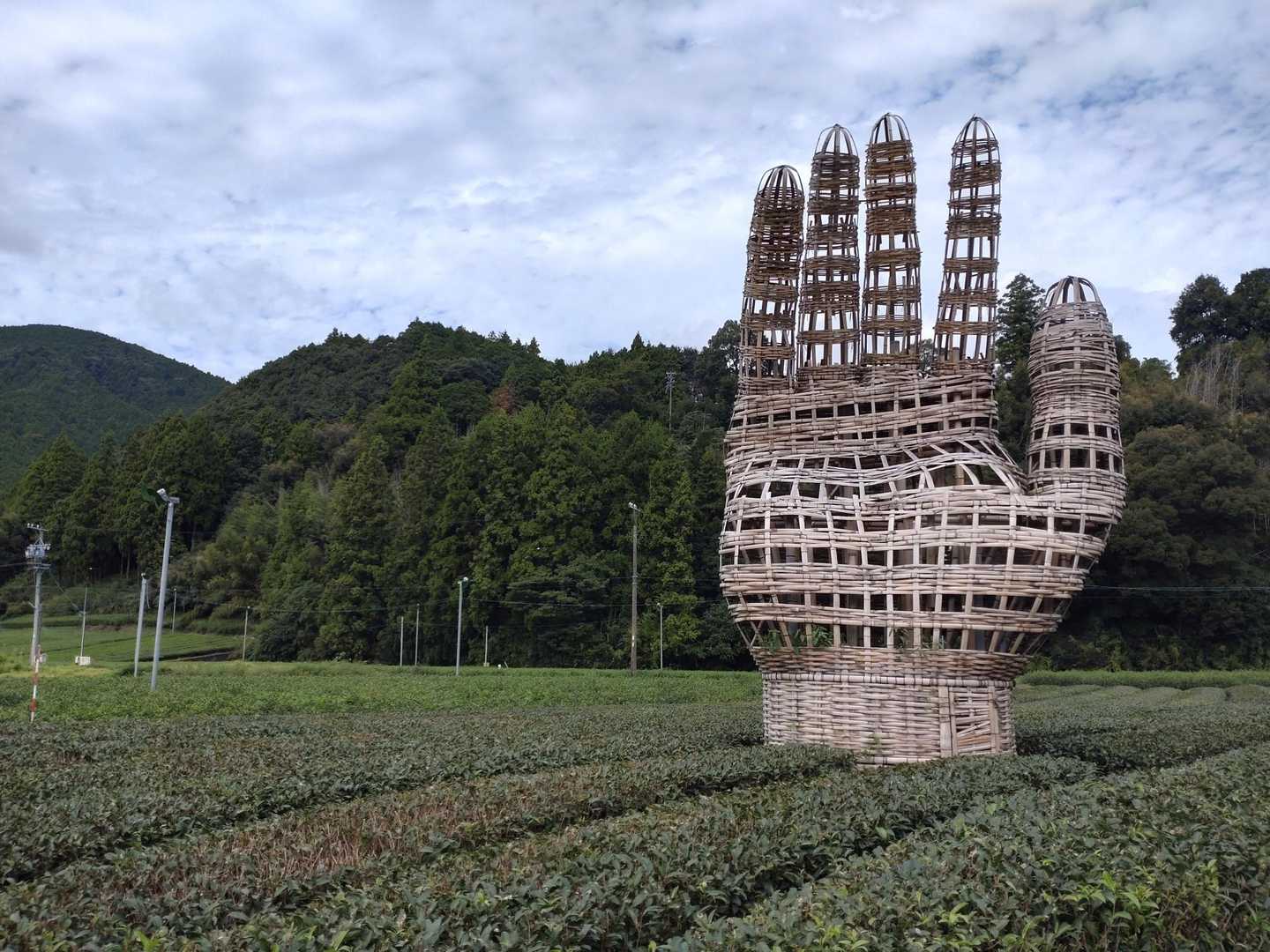 てのひら