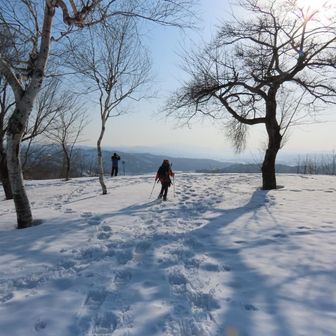 すっかりいい日