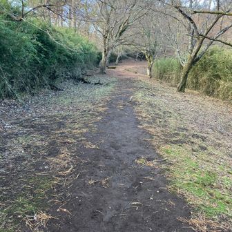 そしてまだ続く