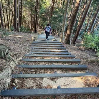 ひと段がまぁまぁ高い