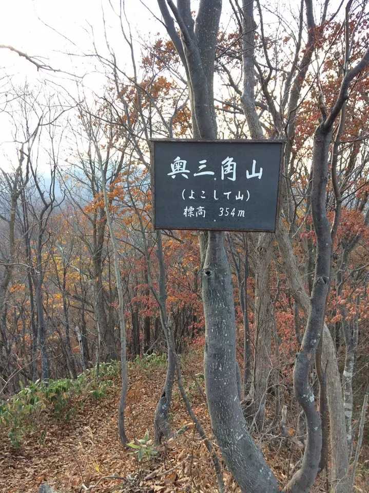 奥三角山（よこして山）の写真
