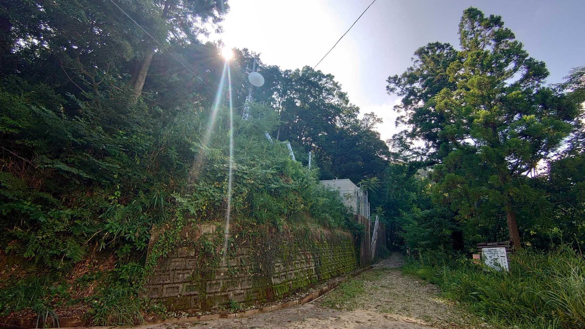 登山道