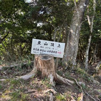 至山山頂。