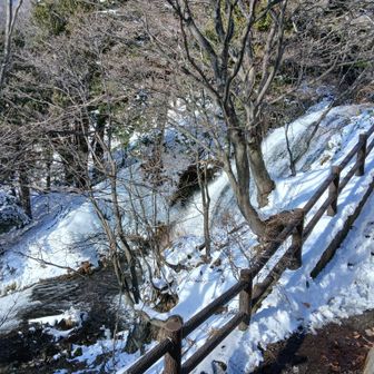 滝の横の急な下り
