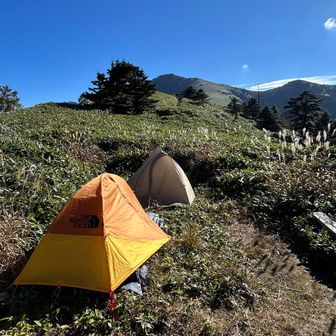 テント⛺️泊の方