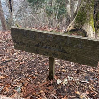 高野三山　摩尼山⛰️