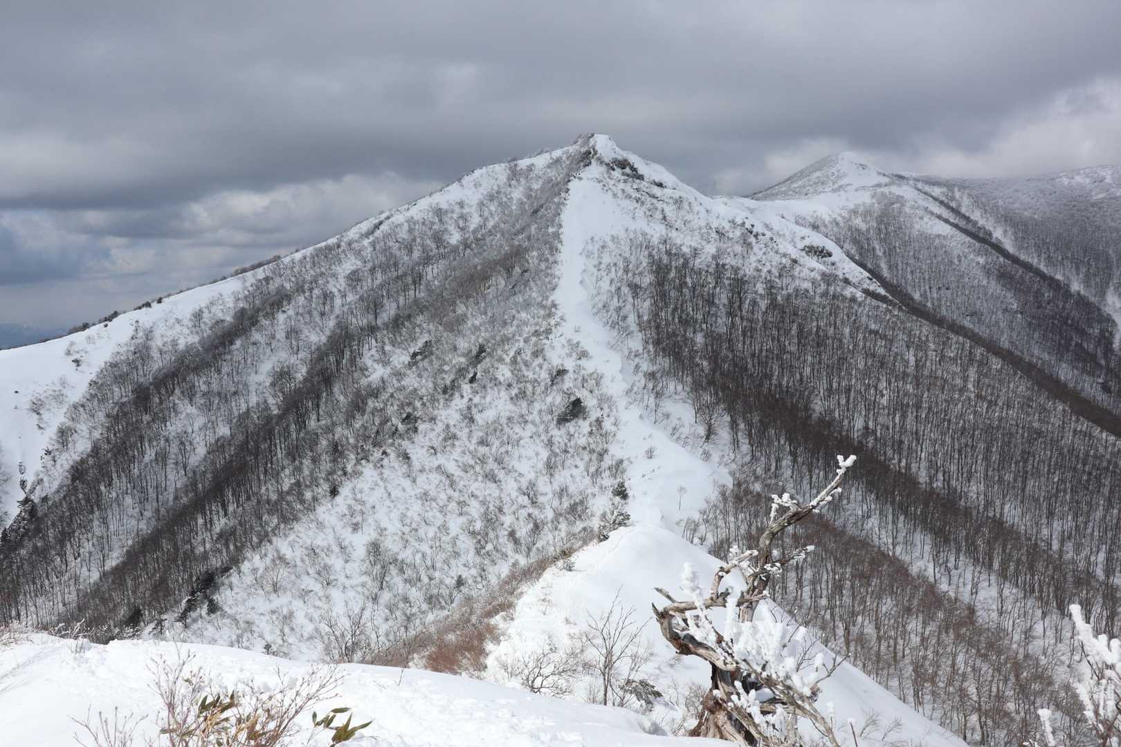 ハマグリ山から振り返る。
次回は花の季節だね👋