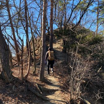 足利アルプスは基本、稜線歩き
葉が落ちた冬に歩きたい