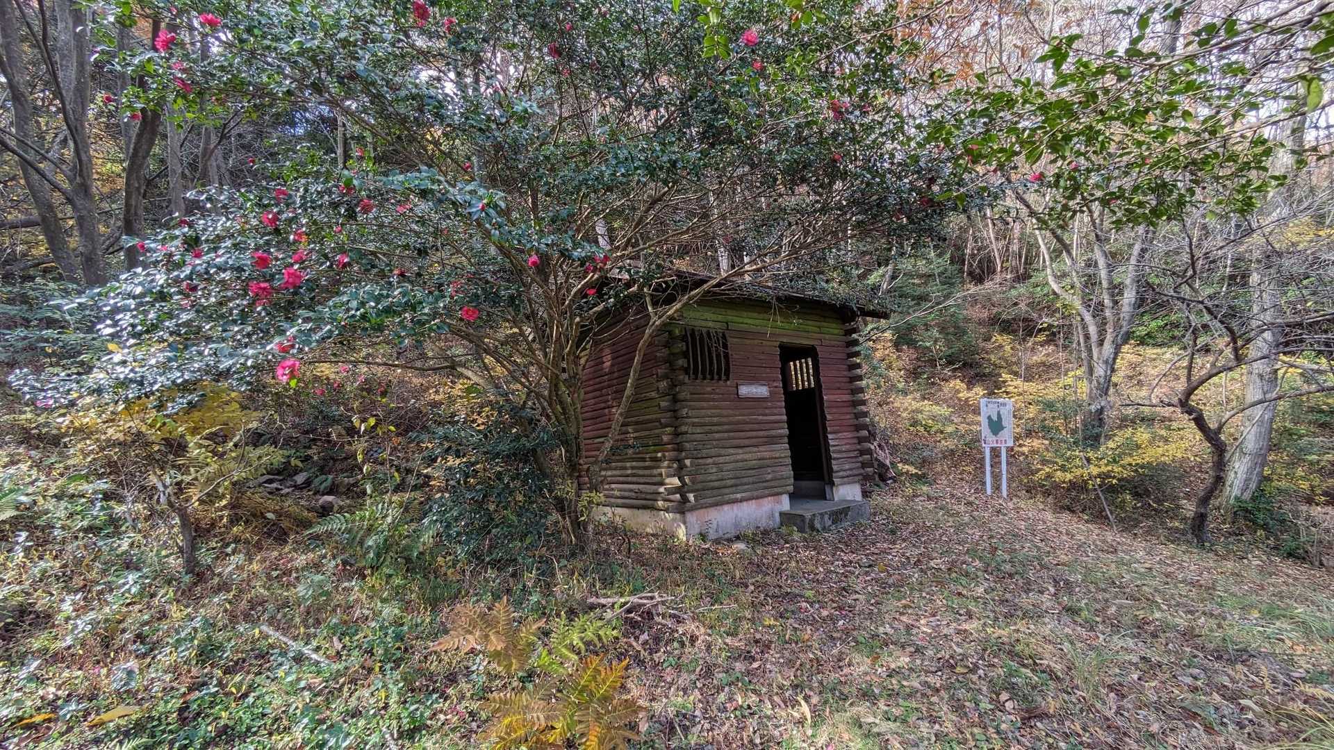 トイレもあります