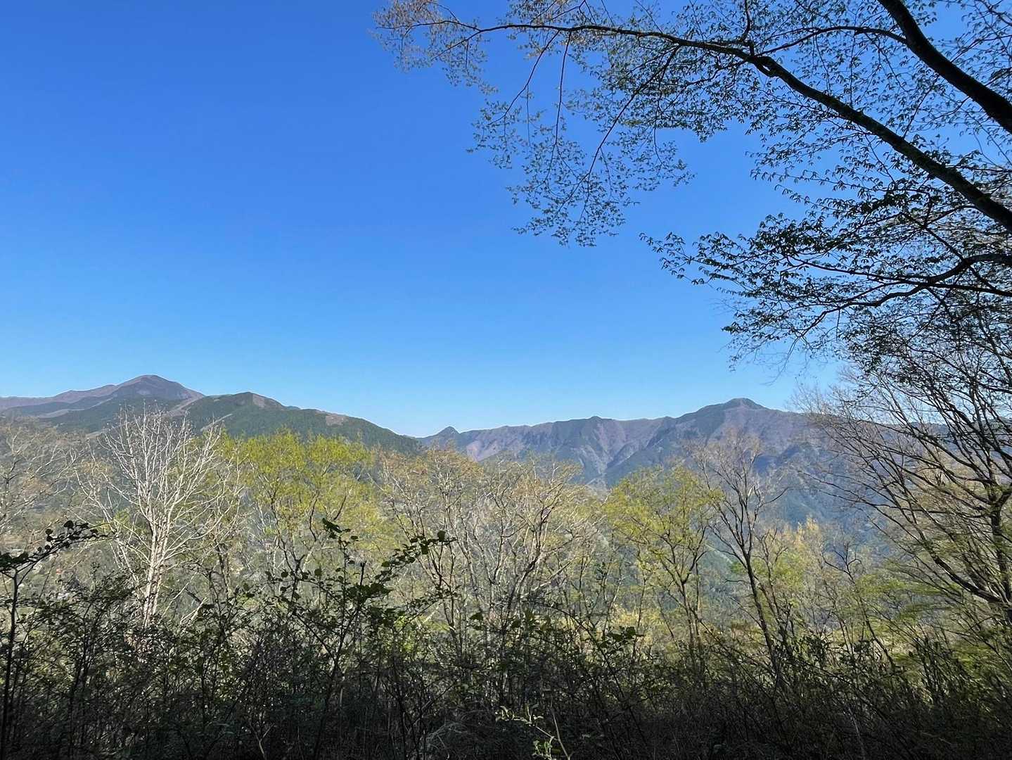 右に大岳山、左は御前山