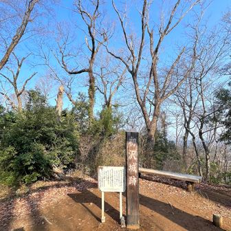 初沢山到着。羽虫から逃げるようにすぐ離れます