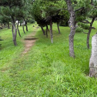 蘇鉄山まで来ました⛰️スタンプCPです⭐️
ここを上がれば山頂です、かなり混雑してましたので、写真はなしにしました😄
あとのCPは堺区役所のみです⭐️