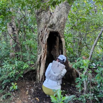 物件確認中🏡
ドングリ1kg/月🐿️