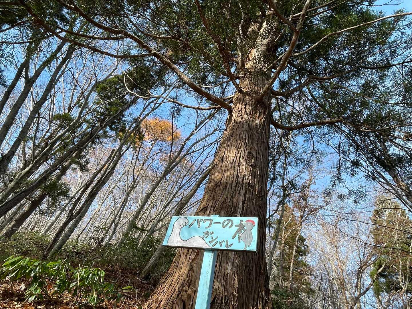 なるなる
