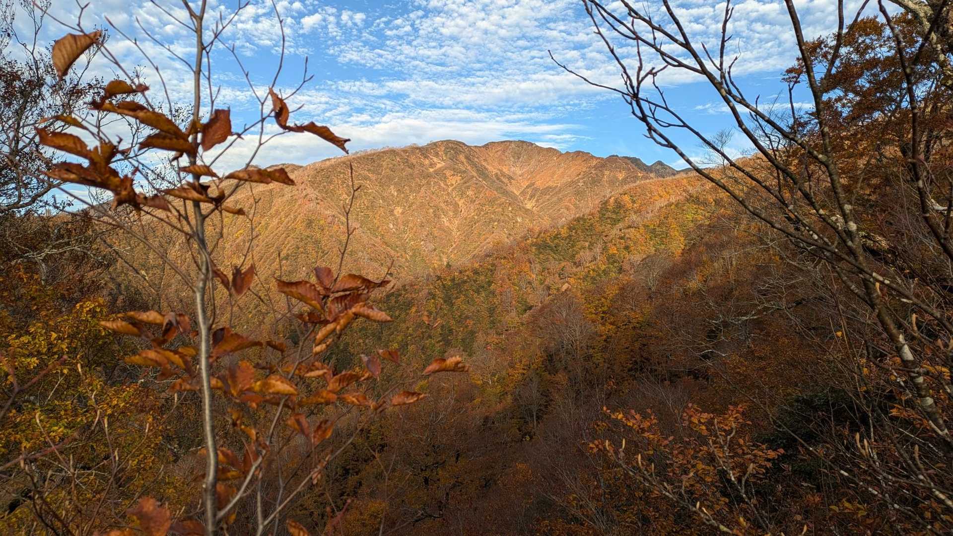 御沢登山口-横峰 往復コースの写真