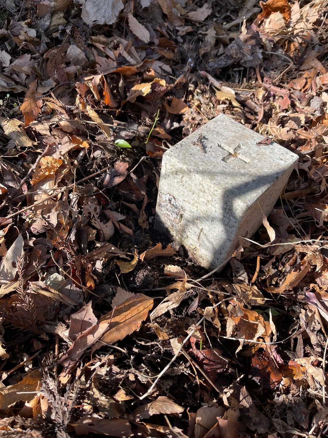 立烏帽子山🔺
山名標識無し