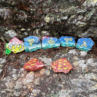 ほっこりする☺️