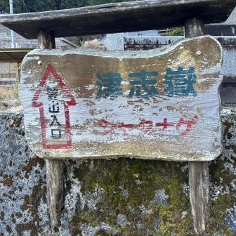 ここからスタート