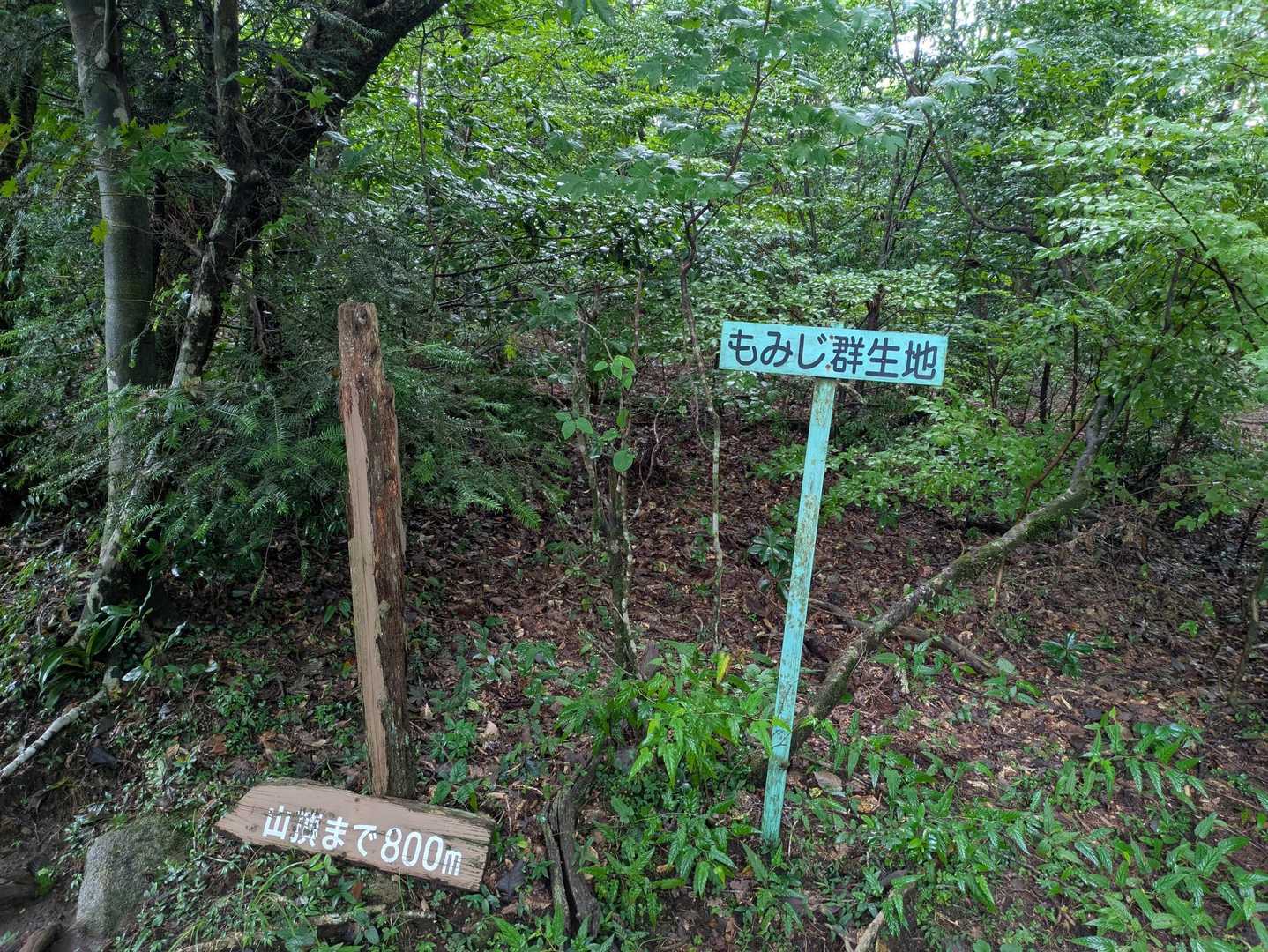 栗野岳第2峰-栗野岳 周回コースの写真