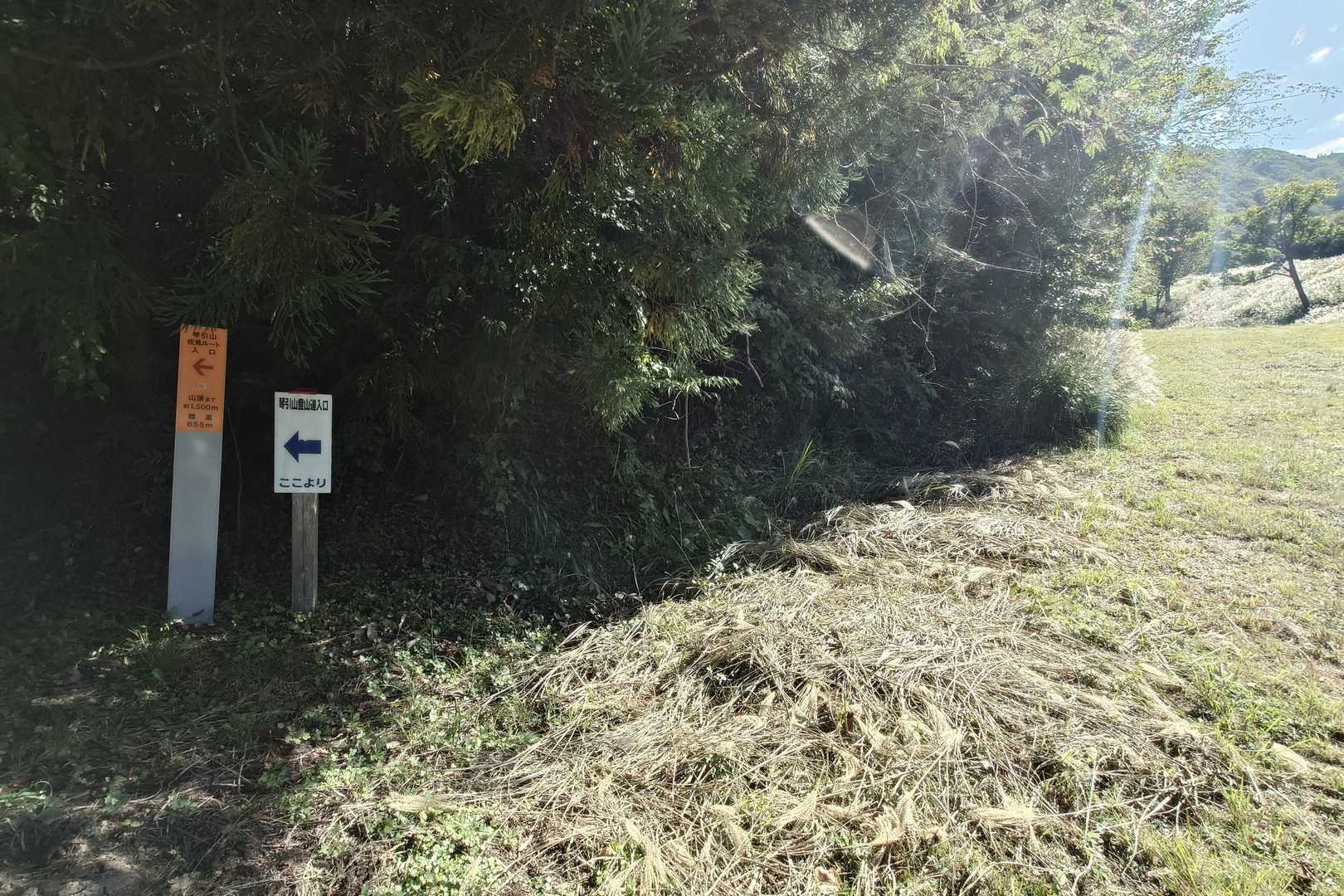 登山口はここから