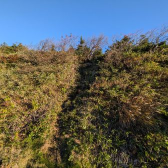 屏風岳登山口の反対側が今日の登山口です
車道を横切りGO‼️　道は鮮明です😊