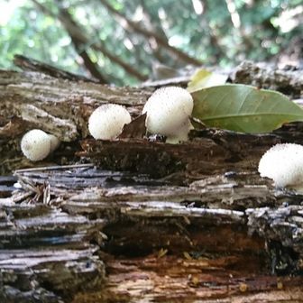 体力的に無理です。