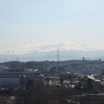 「防人見返りの峠」という展望スポットがありました。丹沢から秩父エリアまでの山々が見渡せます👍今日は霞んでいましたが、良い眺めでした。
こちらは丹沢エリア