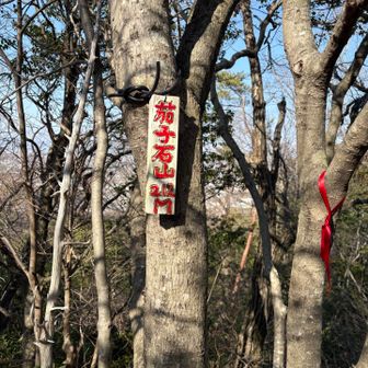 ここには他のハイカーさんもいらっしゃったので静かに写真だけ撮って、元の分岐まで戻りました。
その先はお互いのルートが違ったので、さくらさんとはここでお別れ👋
さくらさんに元気をもらって残りのピークハントへGO✊