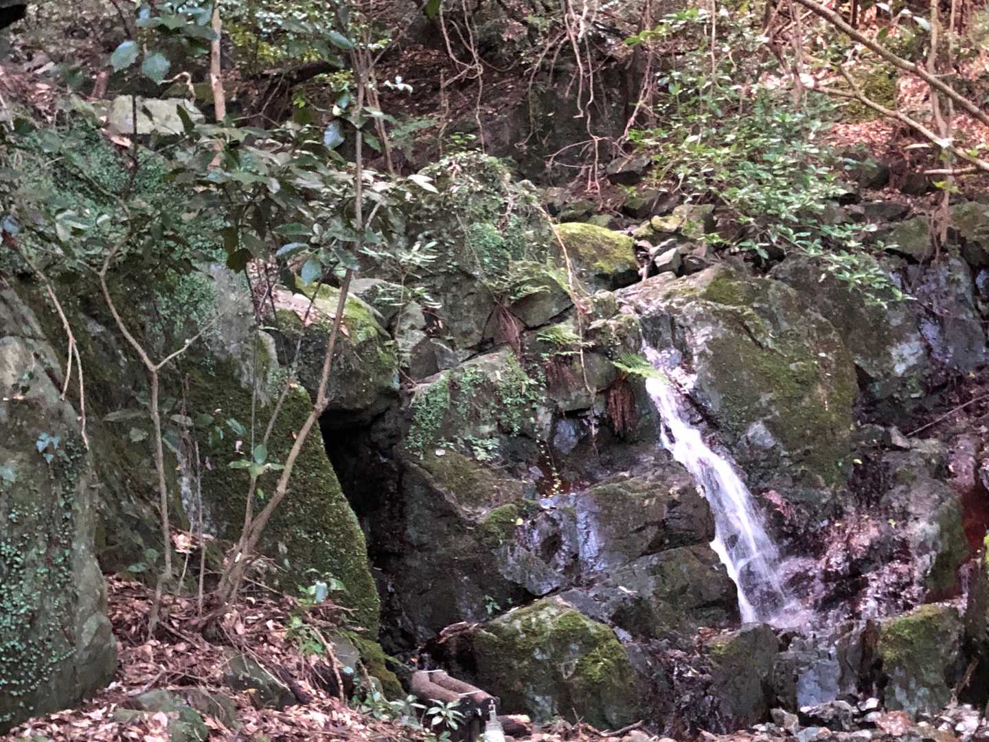今日は湿気が凄い　ベンチの滝毎に顔を洗う