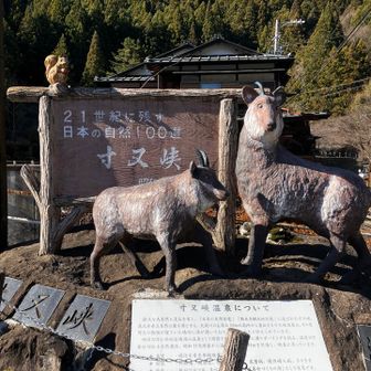 寸又峡へ移動🚙