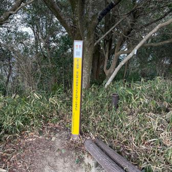 たまたま山頂にあった