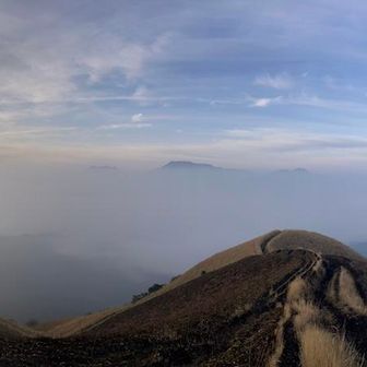 ﾊﾟﾉﾗﾏ撮影🤳　大観峰から… 雲海🌊…ってゆうより　濃霧🌫️で白く埋まってしまってる🤨