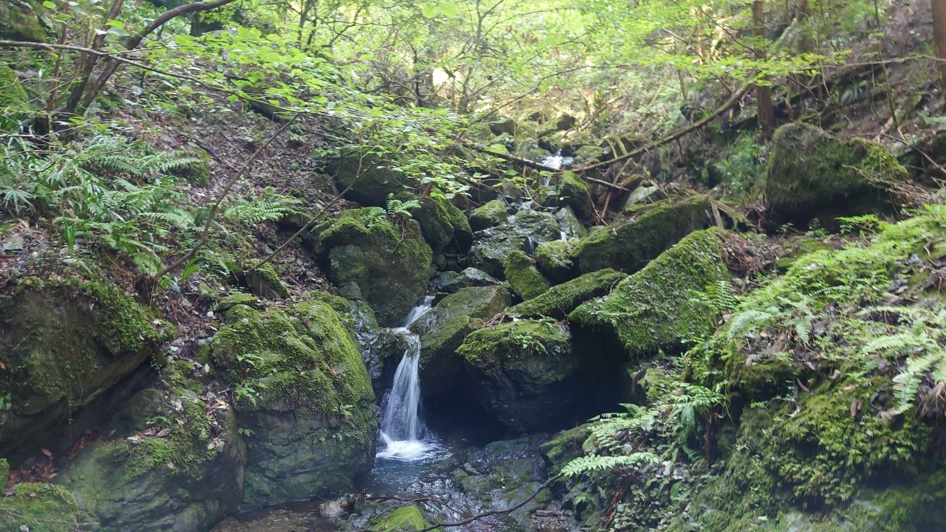 風戸入口バス停-破風山-札立峠-礼所前バス停 周回コースの写真