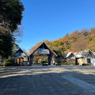 動物園には入らなかったけどトイレ休憩