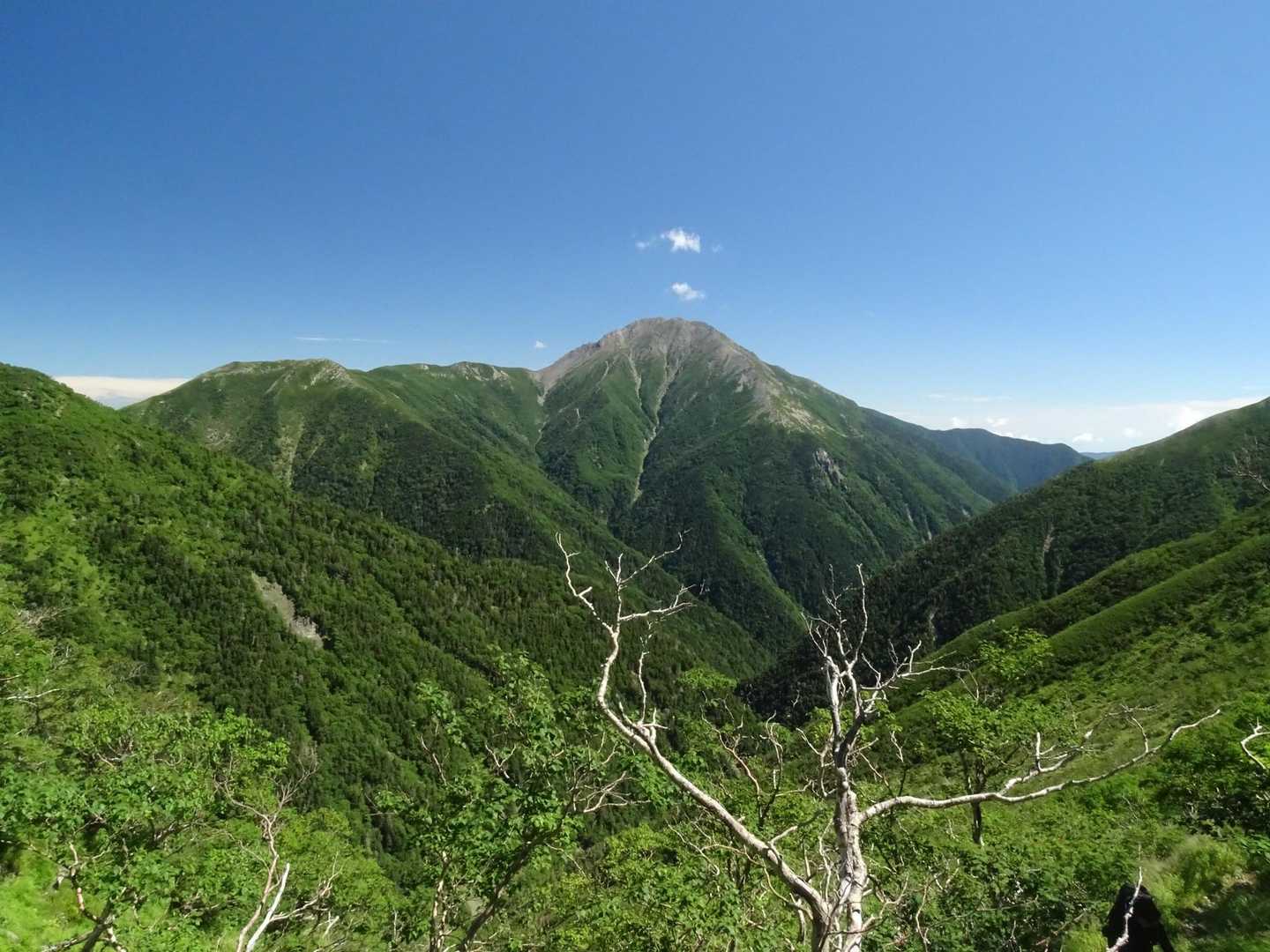 赤石岳