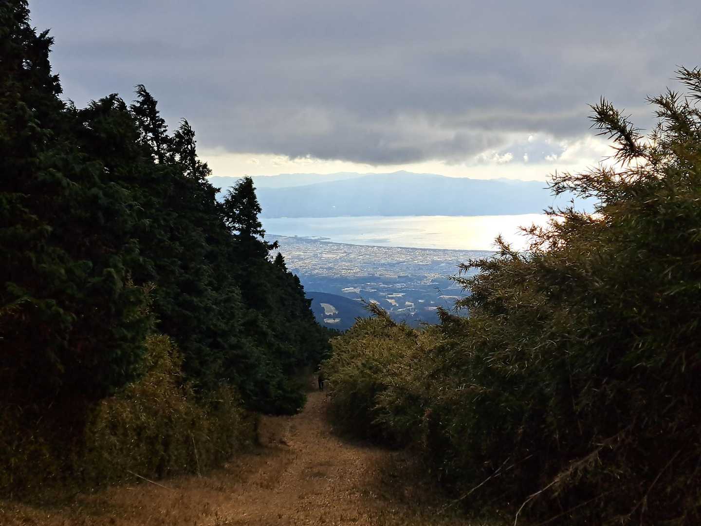 池の平-位牌岳-一服峠-袴腰岳-馬場平-愛鷹山 周回コースの写真