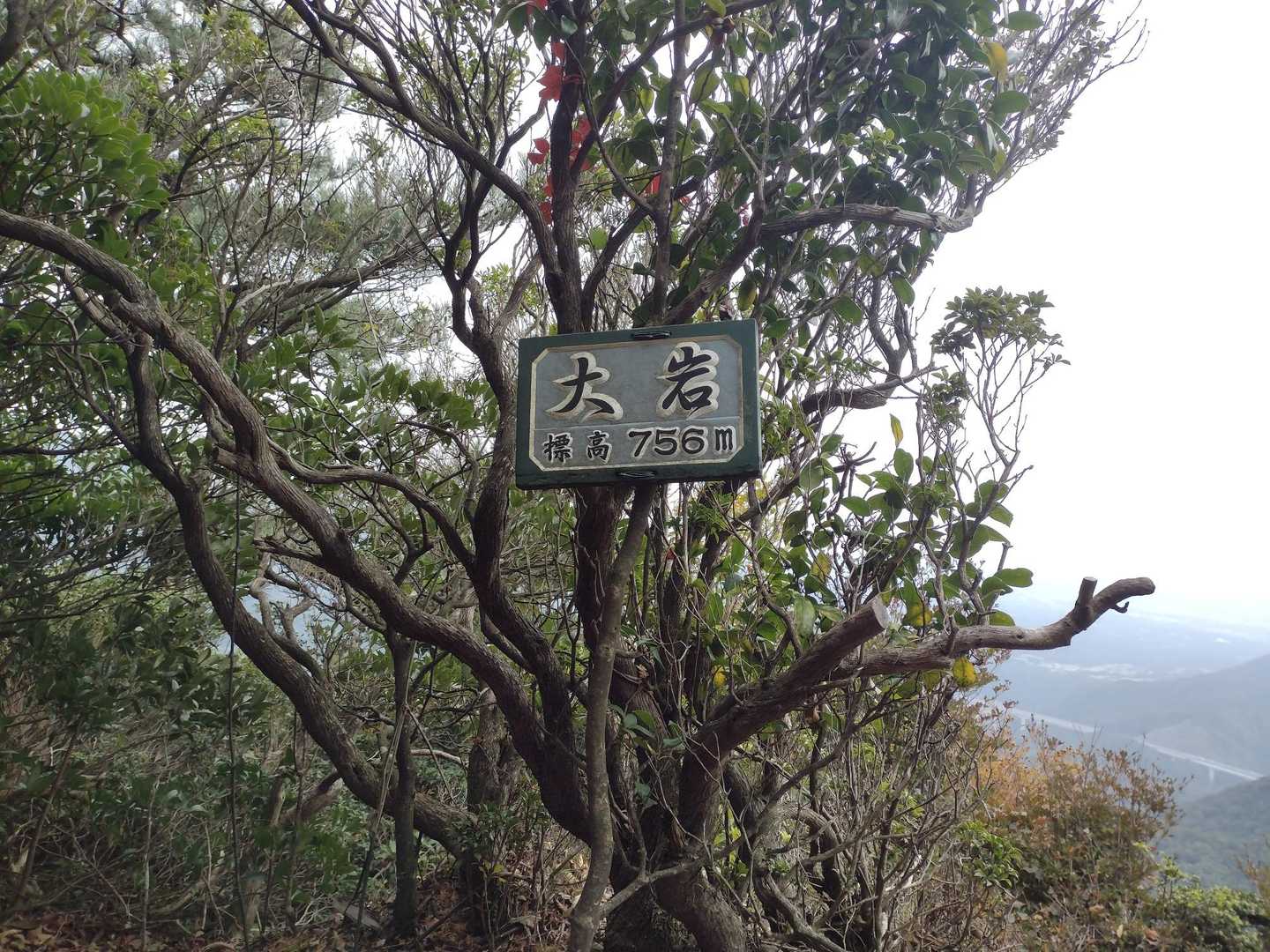 大岩🚩