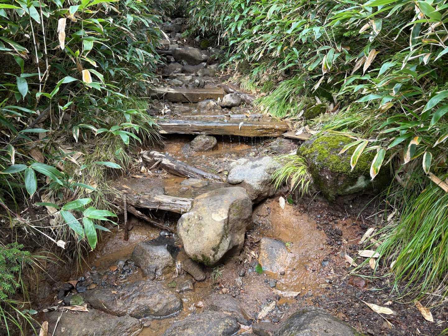 登山道は川のようになってるところあり
下山時もまだ水が流れてました🥺
