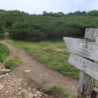 イザルガ岳への分岐 
今は曇ってるので 
明日のお楽しみにしよう