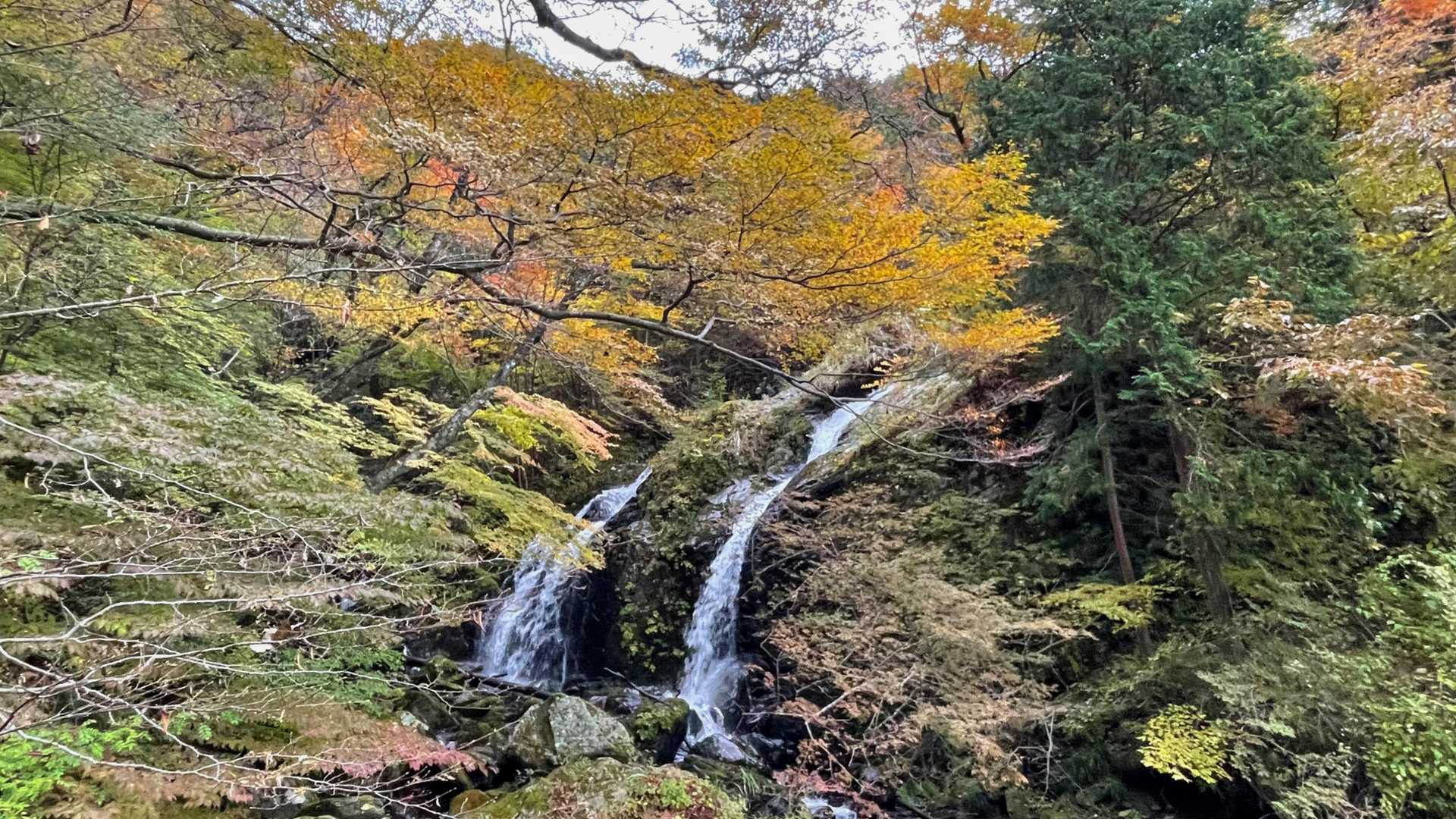 太陽光が欲しい