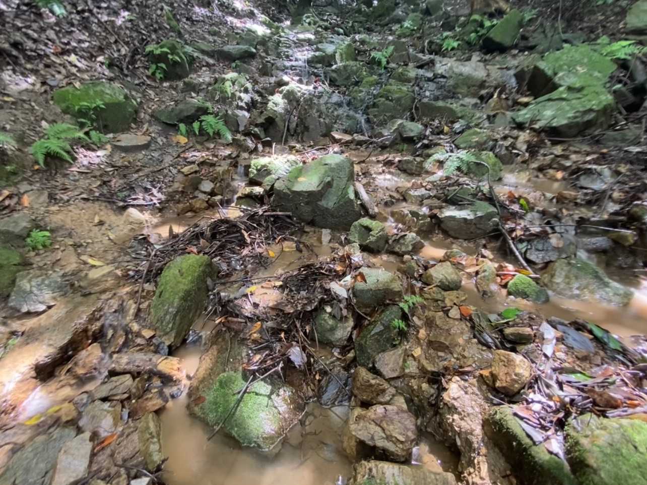 山道も澤に😄