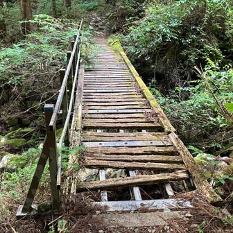 このような橋が数カ所あり、木部の踏み抜き注意でし。